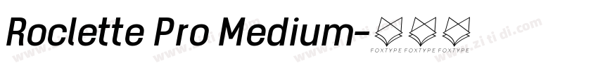 Roclette Pro Medium字体转换